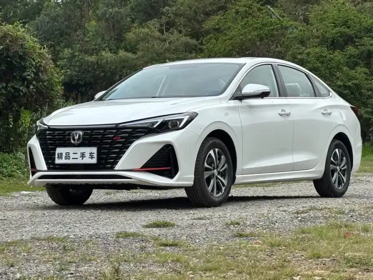 Yidong 2024 PLUS Blue Whale NE 1.4T GDI DCT High Energy Version