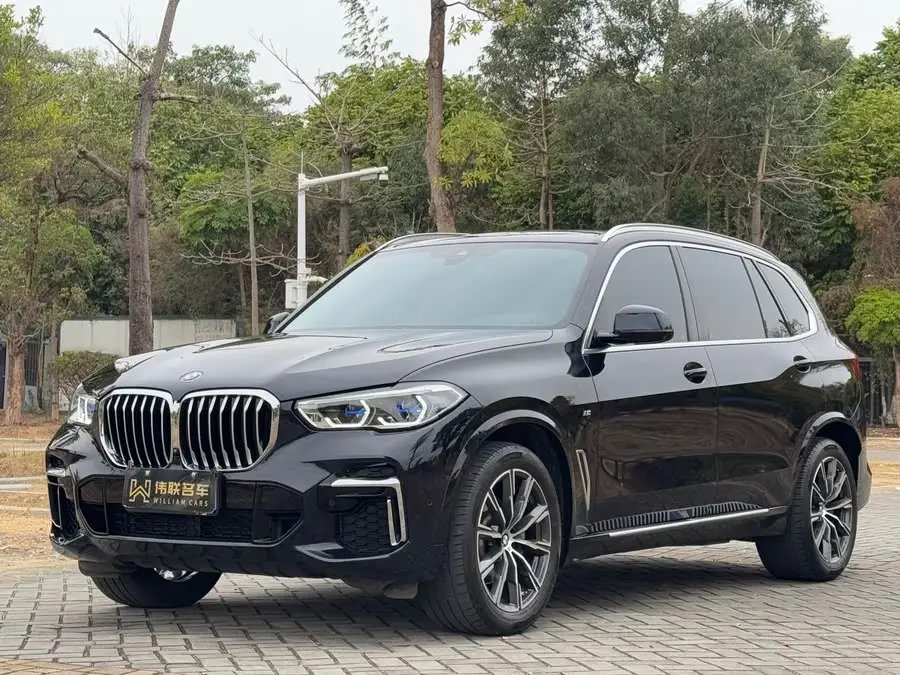 BMW X5 2022 Model Facelift xDrive 30Li M Sport Package