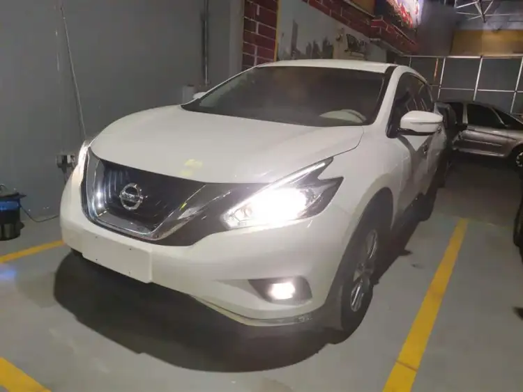 Loulan 2019 2.5L XE Two-Wheel Drive Elite Edition National VI