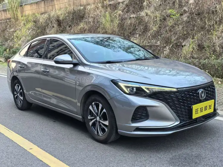 Yidong 2020 PLUS Blue Whale NE 1.4T GDI DCT Premium