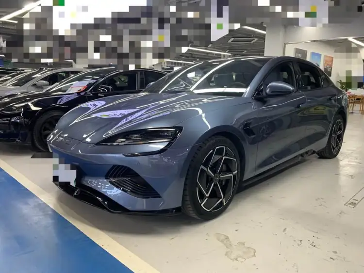 Sealion 2022 Model 700km Long Range Rear-wheel Drive Edition