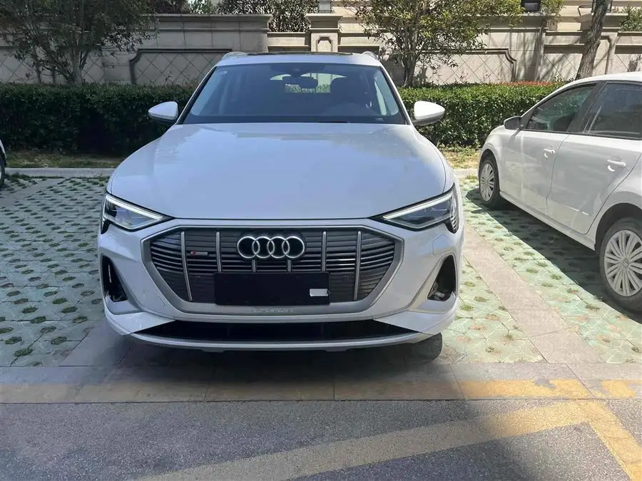 Audi e-tron 2021 50 quattro Luxury