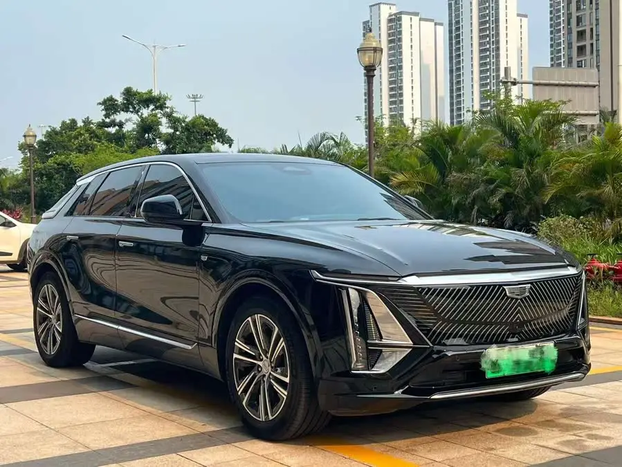 IQ Rigo 2022 Rear-wheel Drive Long Range Premium Version