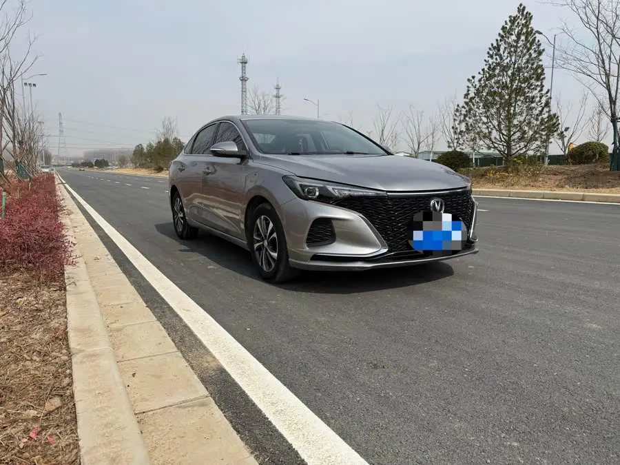 Yidong 2020 Plus Blue Whale NE 1.4T GDI DCT Premium