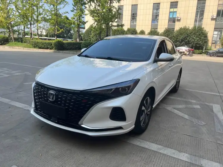 Yidong 2021 PLUS Blue Whale NE 1.4T GDI DCT Premium Edition