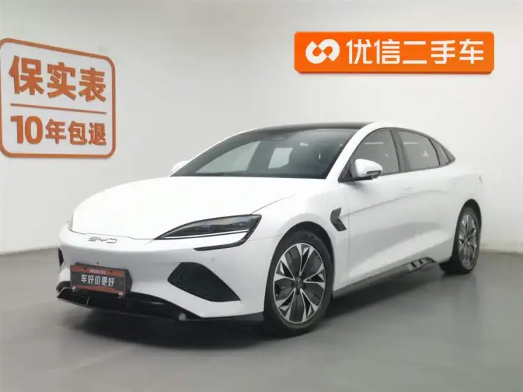 Seals 2022 Model 550km Standard Range Rear-Wheel Drive Deluxe Version