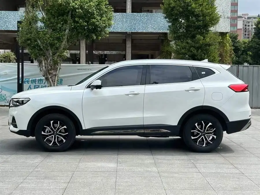 Haval H6 2023 National Trend Edition 1.5T Automatic Urban Version