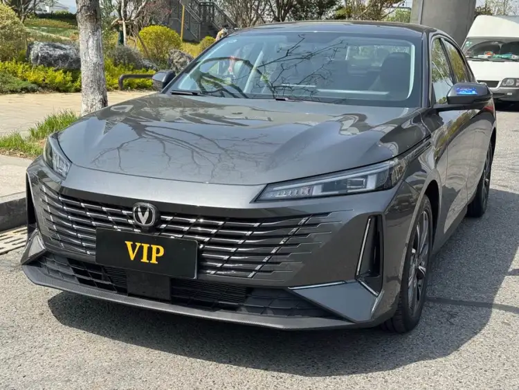 Yidong 2024 1.5T GDI Automatic Premium