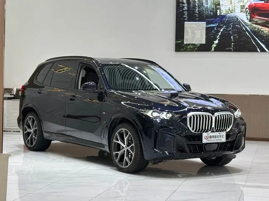 BMW X5 2023 xDrive 30Li Exclusive M Sport Night Package