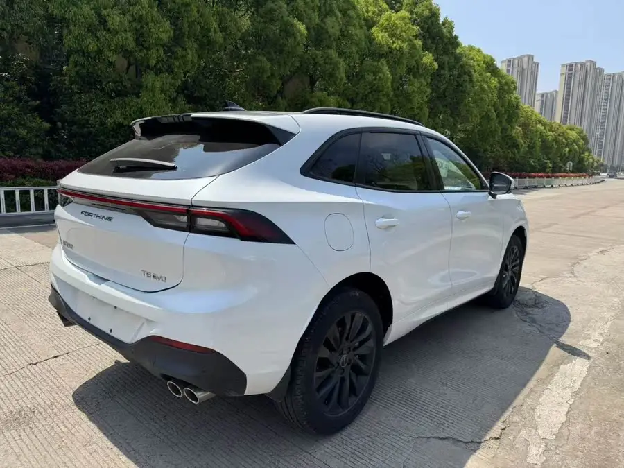 Fengxing T5 EVO 2021 1.5TD DCT Star Edition