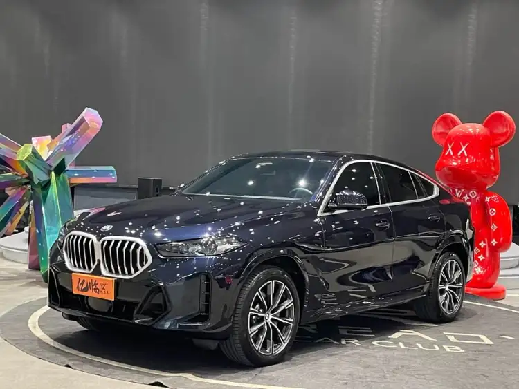 BMW X6 2023 xDrive30i M Sport Package