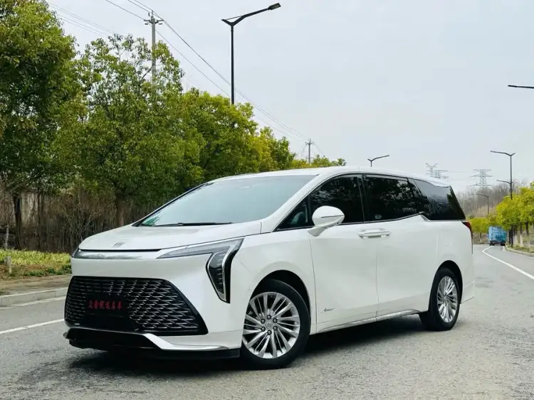 Century 2023 2.0T Six-Seater Yunshe Edition