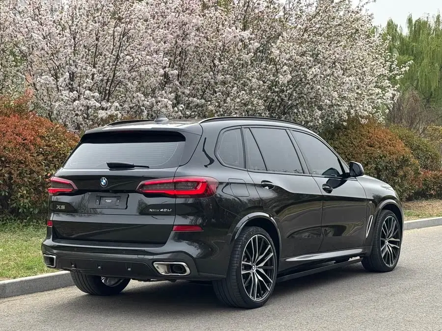 BMW X5 2022 xDrive 40Li M Sport Package