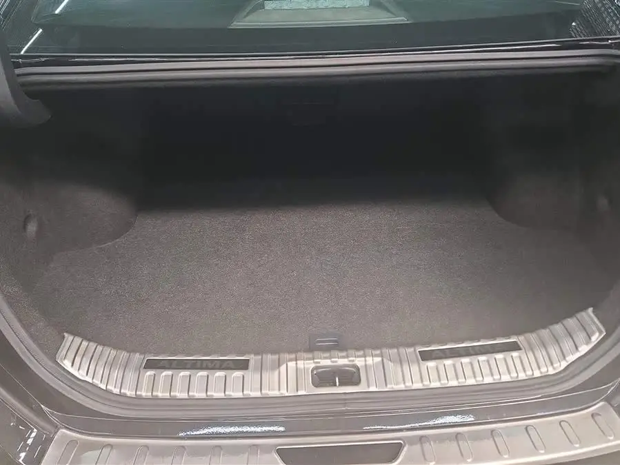 Tianlai 2021 2.0L XL Comfort Version