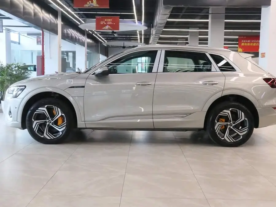 Audi e-tron 2021 50 quattro Selection