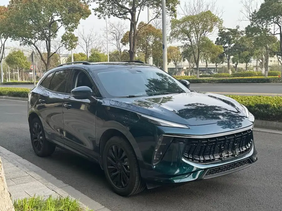 Fengxing T5 EVO 2021 1.5TD DCT Platinum Edition