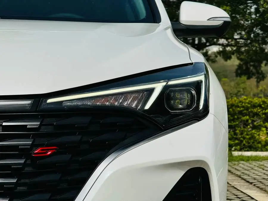 Yidong 2023 Model Changxiang Version PLUS Blue Whale NE 1.4T GDI DCT Premium Edition