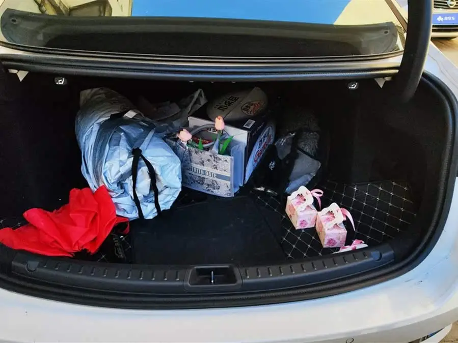 2022 Mondeo Facelift EcoBoost 245 ST-Line