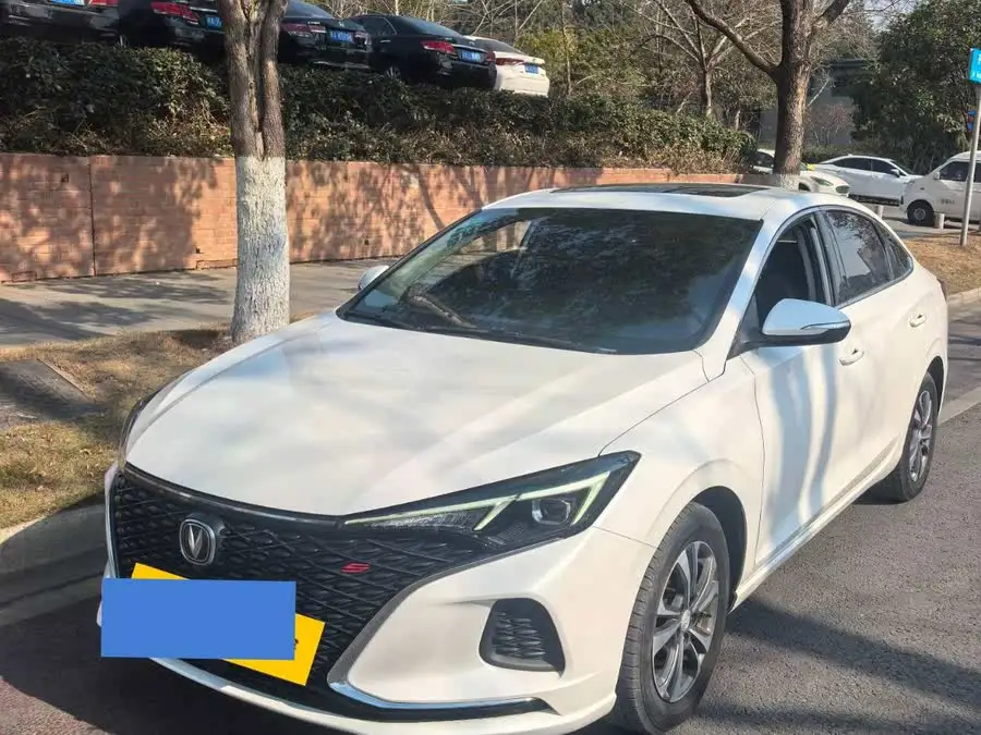 Yidong 2020 PLUS Blue Whale NE 1.4T GDI DCT Premium