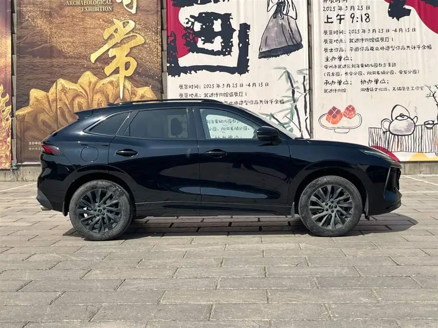 Windlink T5 EVO 2021 1.5TD DCT Diamond Edition