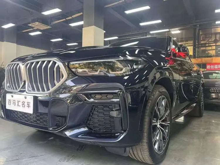 BMW X6 2023 xDrive30i M Sport Package