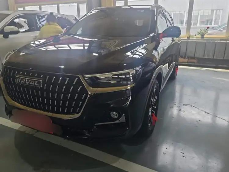 Haval H6 2023 National Trend Edition 1.5T Automatic Urban Version