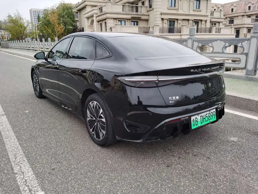 سلحفاة 2023 إصدار البطل 550 كم فاخرة