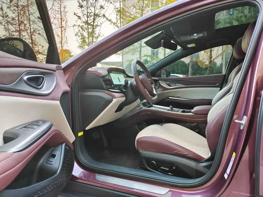 فقمة 2023 DM-i 1.5T 121 كم فئة رائدة