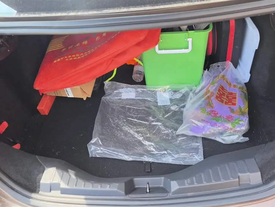 Ford Focus 2019 Facelift 1.5L Automatic Enjoy Edition National VI