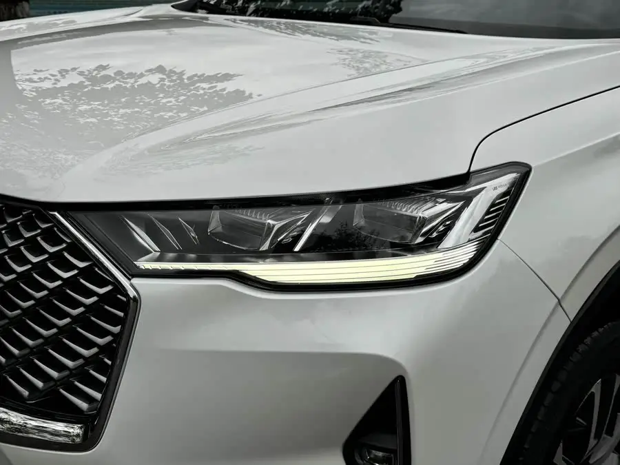 Haval H6 2022 Model Third Generation 1.5T Automatic Two-Wheel Drive Max