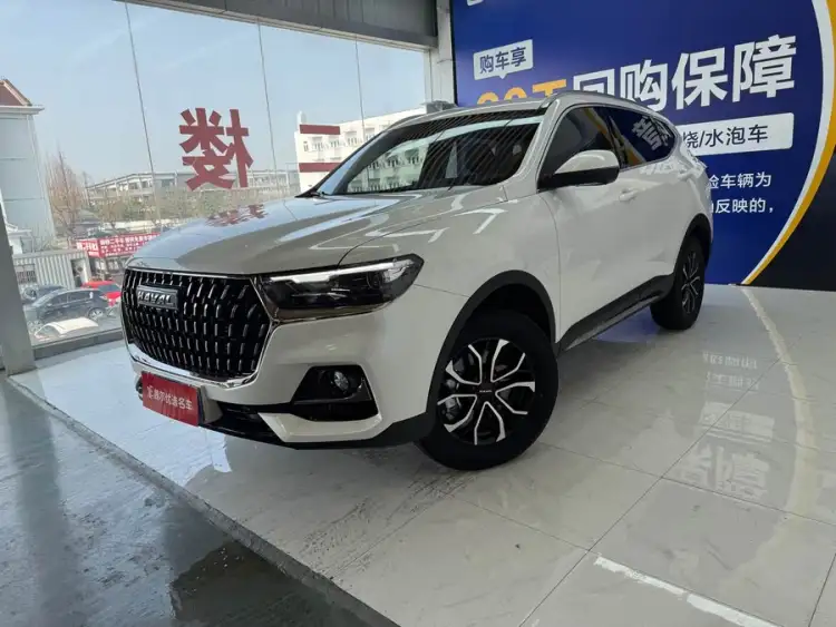 Haval H6 2023 National Trend Edition 1.5T Automatic Urban Version