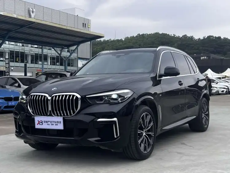 BMW X5 2022 xDrive 30Li M Sport Package