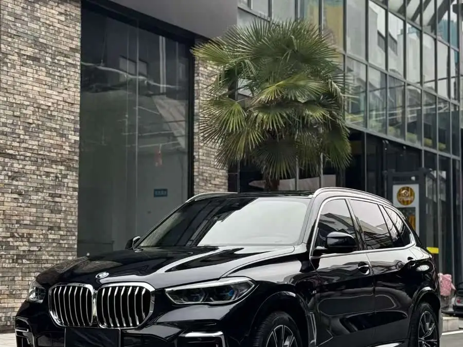 بي إم دبليو X5 2022 xDrive 30Li حزمة M الرياضية الفاخرة
