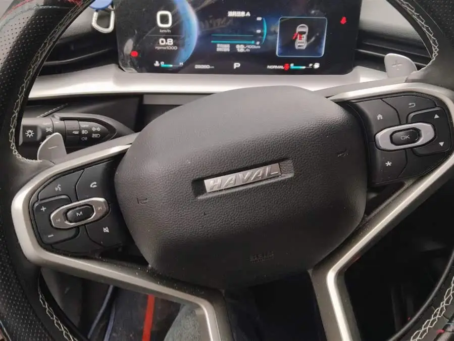 هافال H6 2022 الطراز الجيل الثالث 1.5T أوتوماتيكي دفع ثنائي برو