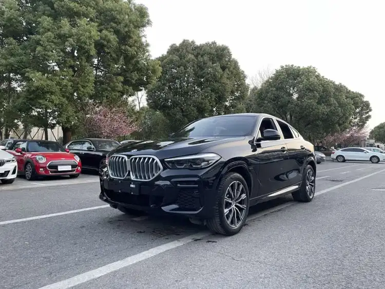 BMW X6 2021 xDrive30i M Sport Package