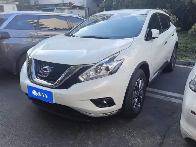 Luo Lan 2021 2.5L XL Two-Wheel Drive Intelligent Luxury Edition