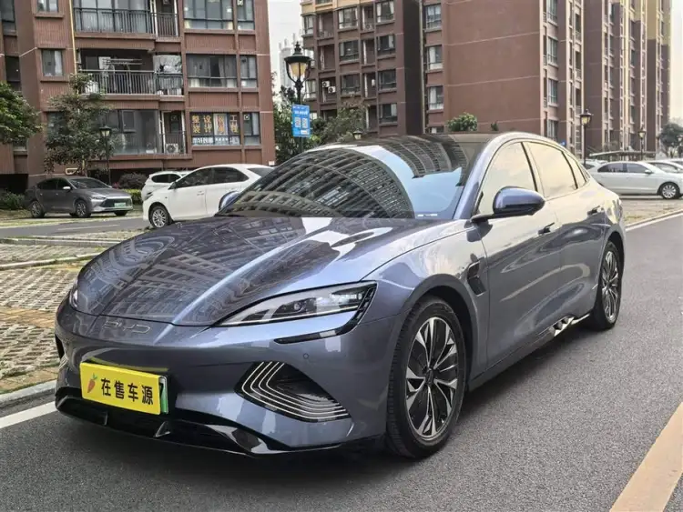 Seals 2023 Champion Edition 550km Premium