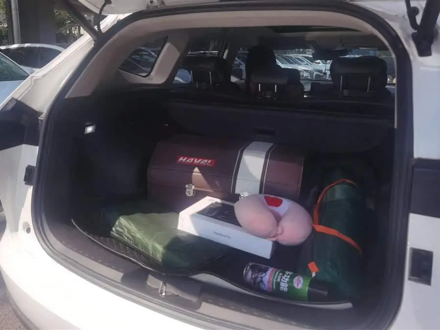 Haval H6 2021 Model Third Generation 1.5T Automatic Two-Wheel Drive Max