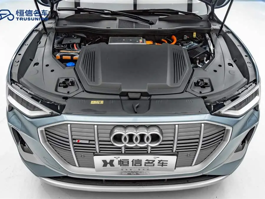 Audi e-tron 2021 50 quattro Premium