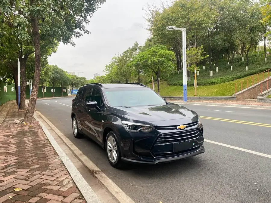 Wolando 2020 Light Hybrid 530T Automatic Enjoy Version (5+2 seats)