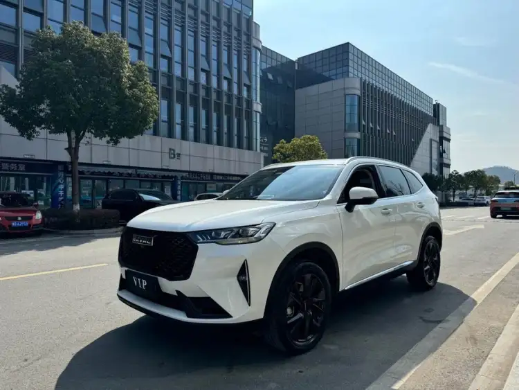 Haval H6 2021 Model Third Generation 2.0T Automatic Two-Wheel Drive Max