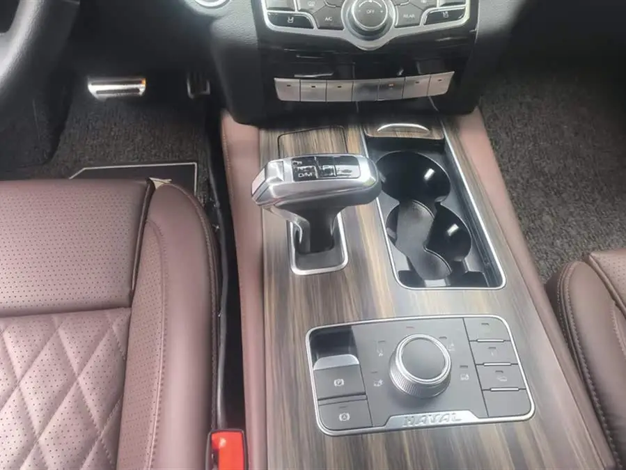 Haval H9 2020 2.0T Gasoline Four-Wheel Drive Enjoyment Edition 5-seater