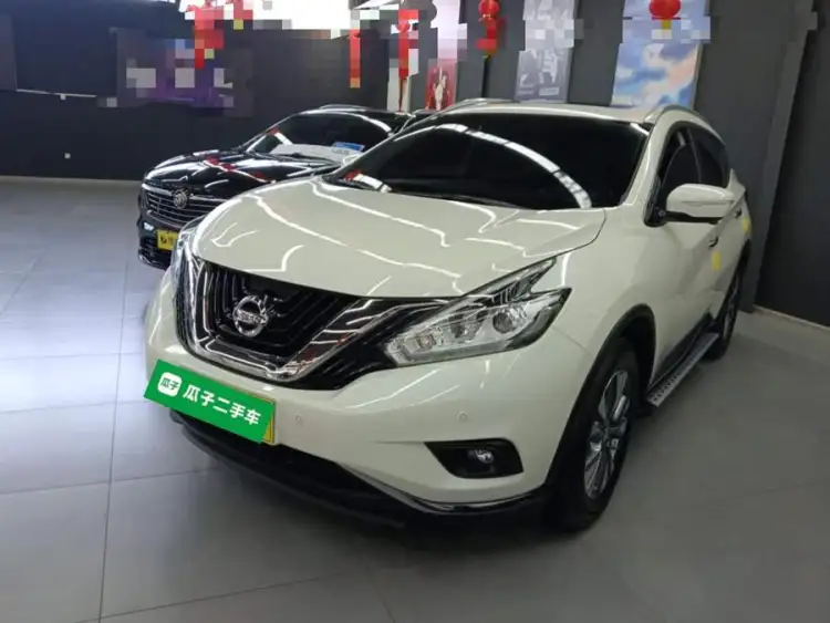 LuoLan 2021 2.5L XL Two-Wheel Drive Intelligent Luxury Edition