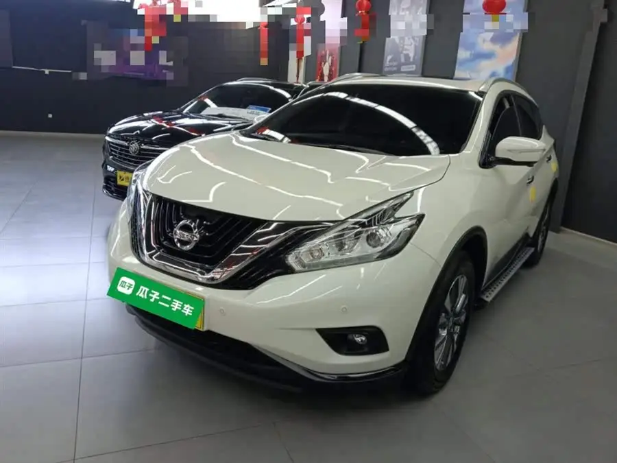 LuoLan 2021 2.5L XL Two-Wheel Drive Intelligent Luxury Edition