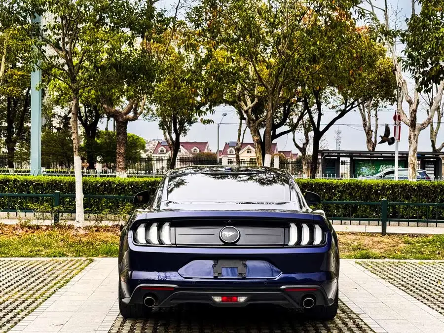 موستانغ 2020 2.3 لتر إيكوبوست