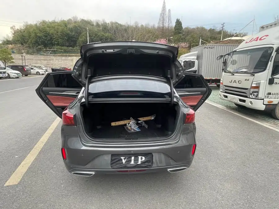 Yidong 2022 PLUS Blue Whale NE 1.4T GDI DCT Premium Edition