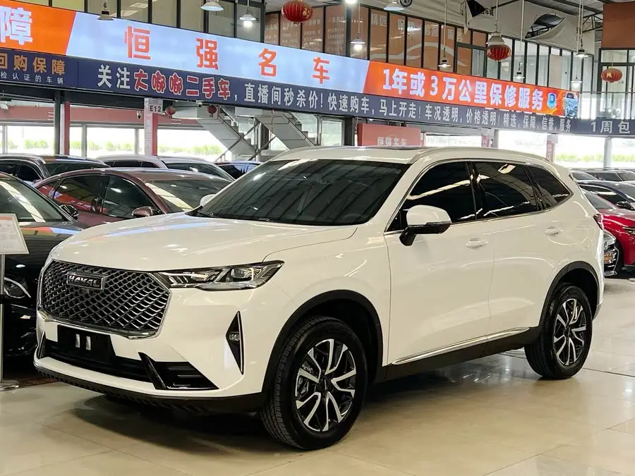 Haval H6 2021 Model Third Generation 1.5T Automatic Two-Wheel Drive Pro