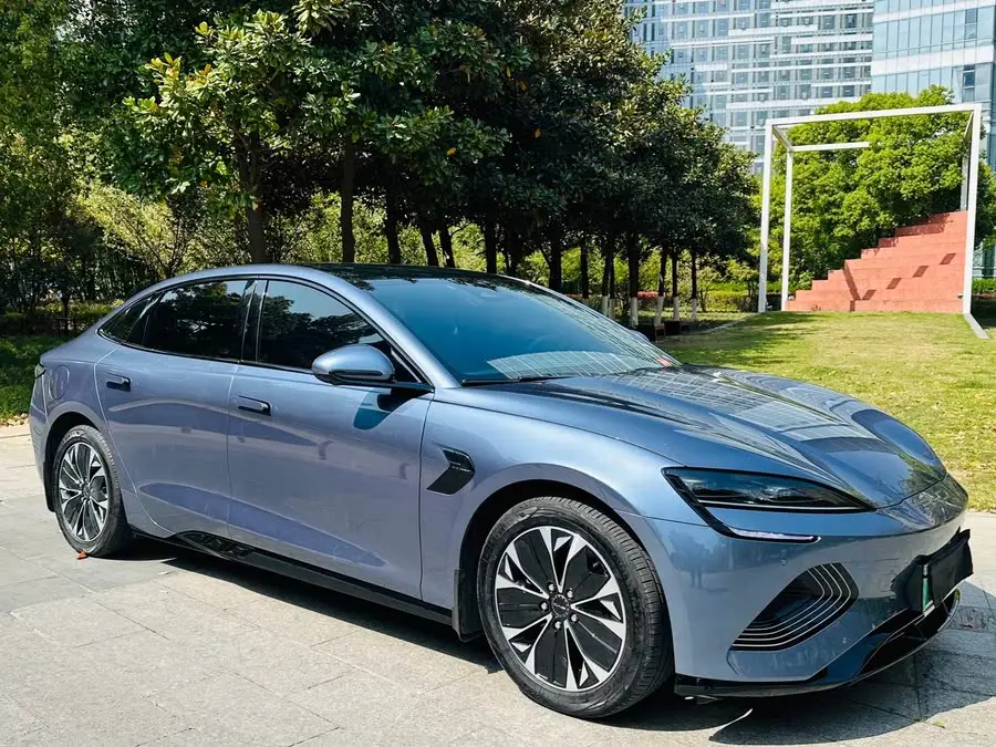 Sealion 2024 Glory Edition 550km Elite Model