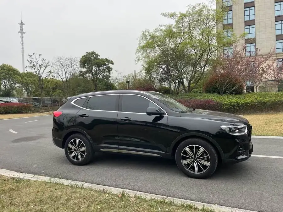 Haval H6 2023 National Trend Edition 1.5T Automatic Champion Version