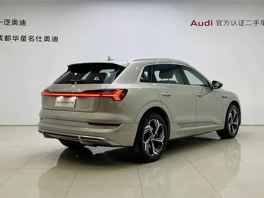 Audi e-tron 2021 50 quattro Selection
